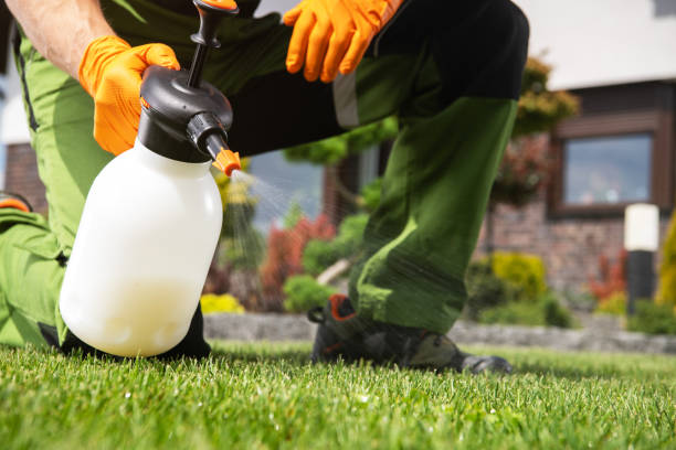 Best Pest Removal Services  in Netcong, NJ