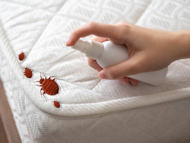 Best Pest Prevention Services  in Netcong, NJ