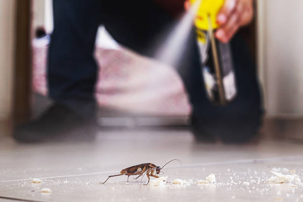 Best Mosquito Control Services  in Netcong, NJ